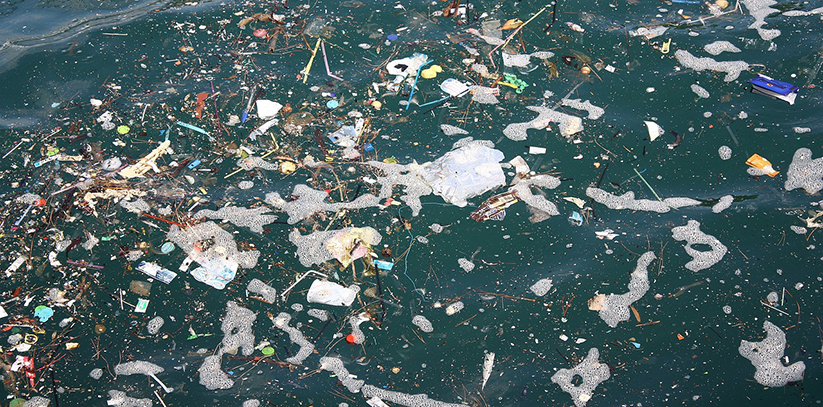 Ocean Litter