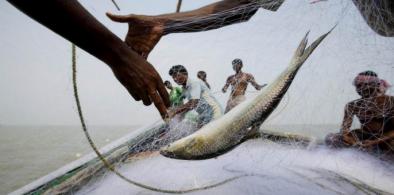 Bangladesh bans fishing in Sunderbans