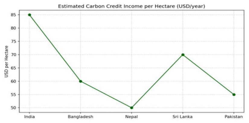 Climate Credit Markets in South Asia