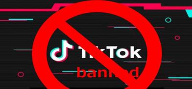 Will Comply With India Ban Not Sharing User Data With China Tiktok South Asia Monitor