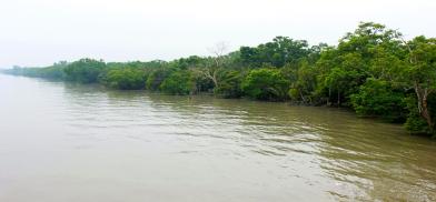 Sundarbans