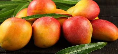 Bangladeshi mangoes