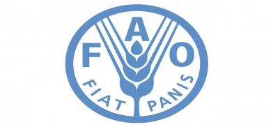 Food and Agricultural Organization (FAO) Food and Agricultural Organization (FAO)