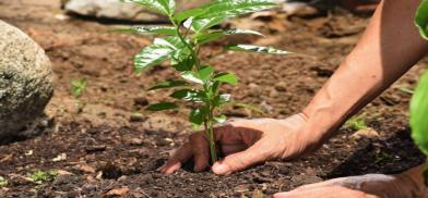 World Environment Day World Environment Day