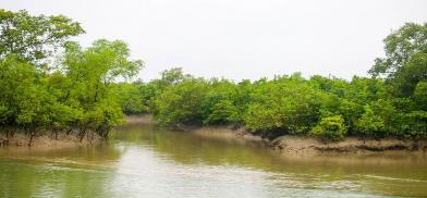 Sundarbans Sundarbans
