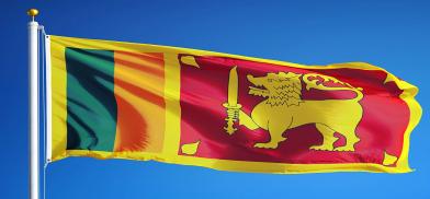 Sri Lanka falg (File) Sri Lanka falg (File)