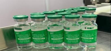 India to resume vaccine exports India to resume vaccine exports