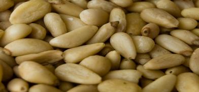 Pine nuts Pine nuts
