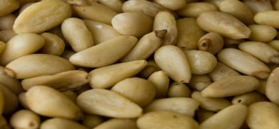 Pine nuts