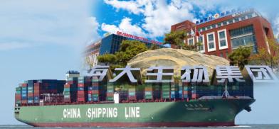 Chinese fertilizer firm Chinese fertilizer firm