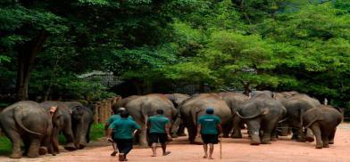 Sri Lanka’s zoo workers threaten Sri Lanka’s zoo workers threaten