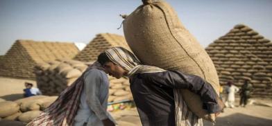 Wheat shipment for Afghanistan (Photo: Youtube)