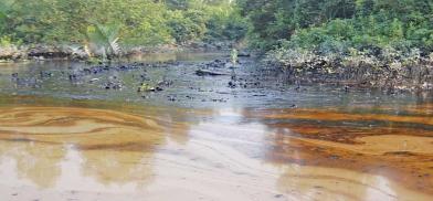 A mass apology to Sundarbans in Bangladesh for deforestation and pollution damages A mass apology to Sundarbans in Bangladesh for deforestation and pollution damages