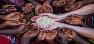 Global food security threatened by Ukraine war (Photo: Earth.org)