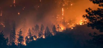 Forest fire in northern India (Photo: Youtube) Forest fire in northern India (Photo: Youtube)