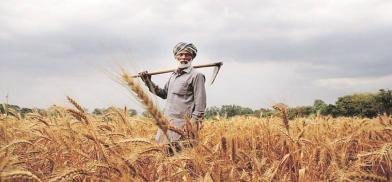 Food security in South Asia (Photo: Twitter) Food security in South Asia (Photo: Twitter)