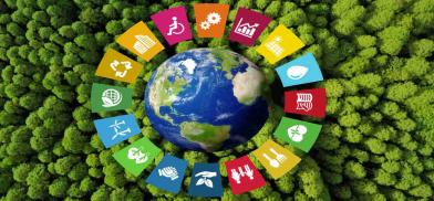 Sustainable Development (Representational Photo)