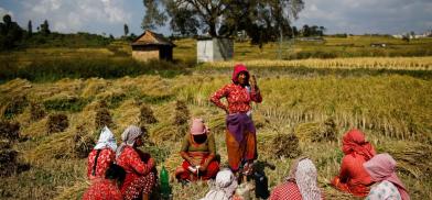 Feminisation of Agriculture in South Asia Feminisation of Agriculture in South Asia