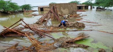 Pakistan flood disaster(Photo: Twitter)