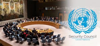 United Nations Security Council  (UNSC)