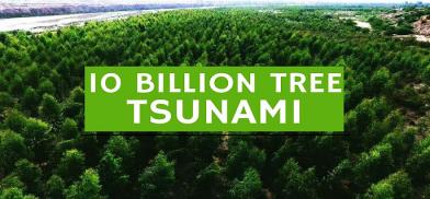 10 Billion Tree Tsunami