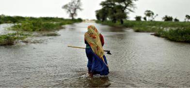 Climate change in Pakistan