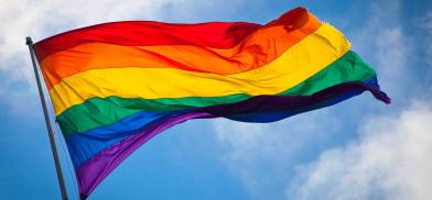 LGBTQI+ rights (Representational Photo) LGBTQI+ rights (Representational Photo)