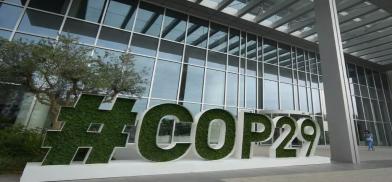 COP29