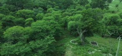 Dol Ka Badh forest in Jaipur