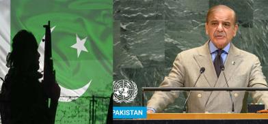 Pakistan terror and PM Shebaz Sharif at UN