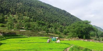 Agricultural reforms in Jammu and Kashmir