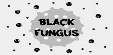 Black fungus