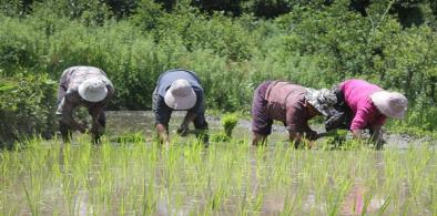 Bhutanese farmers