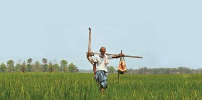 Indian farmer
