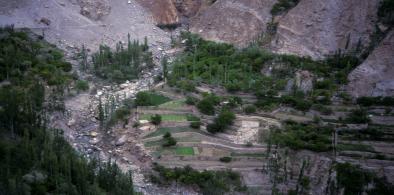 erraced fields in Hunza, Gilgit-Baltistan. Farmers say the early snowmelt this year has led to dry soil and a shortage of water for irrigation. (Image: Adrian Weston / Alamy)