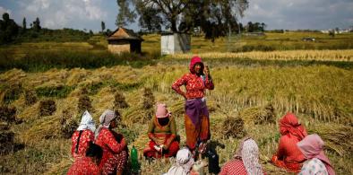 Feminisation of Agriculture in South Asia