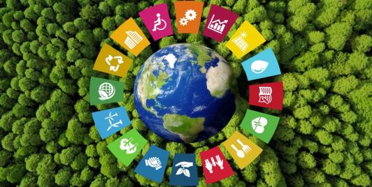 Sustainable Development (Representational Photo)