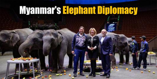 Elephant diplomacy