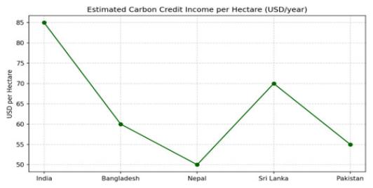 Climate Credit Markets in South Asia