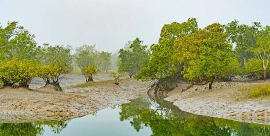 Sundarbans