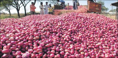 India’s onion export ban leaves South Asia teary-eyed | South Asia Monitor