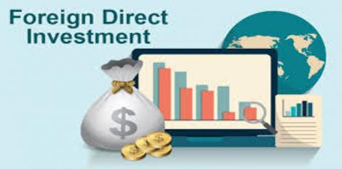 Global FDI Inflow Halves In January-June 2020: UN Report | South Asia ...