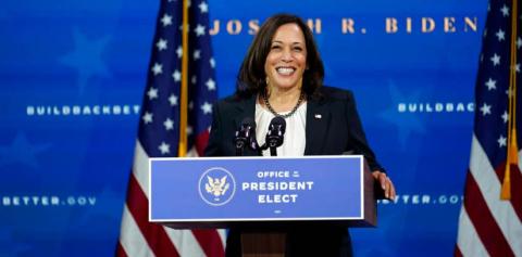 US VP-elect Kamala Harris picks Sri Lankan-American Rohini Kosoglu as ...