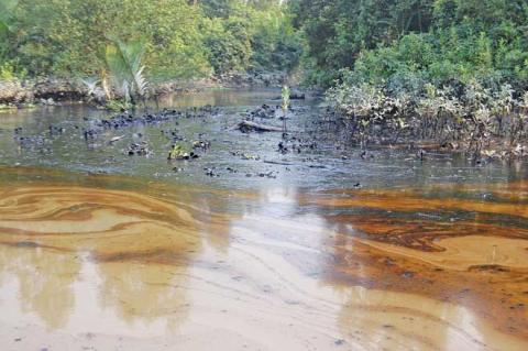 A mass apology to Sundarbans in Bangladesh for deforestation and ...