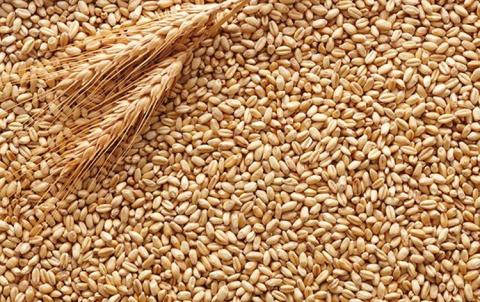 Food security fears: US hopes India will drop restrictions on wheat ...